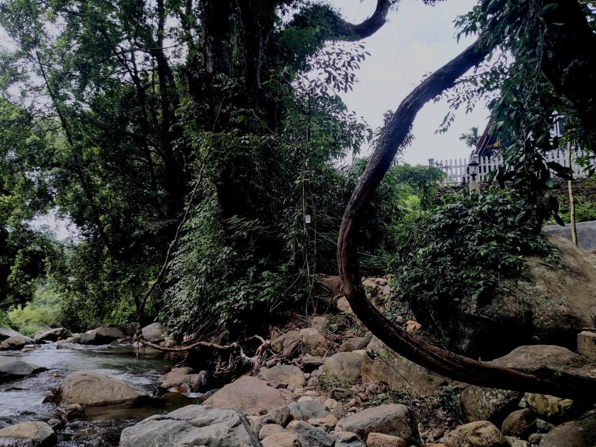 Riverston Nature Villa Rattota Dış mekan fotoğraf